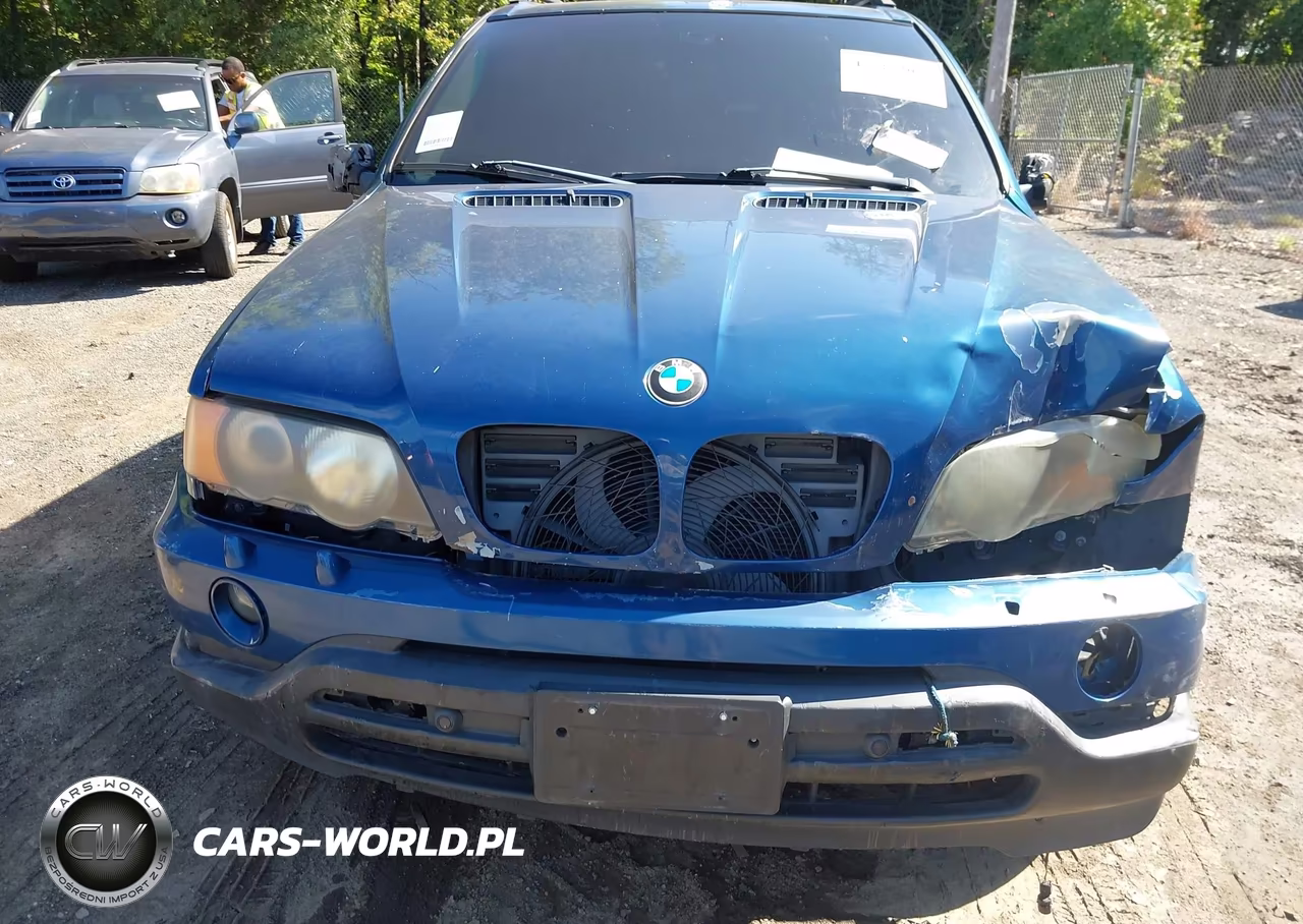 2003 BMW X5 3.0I VIN:5UXFA53523LV84589 - 10