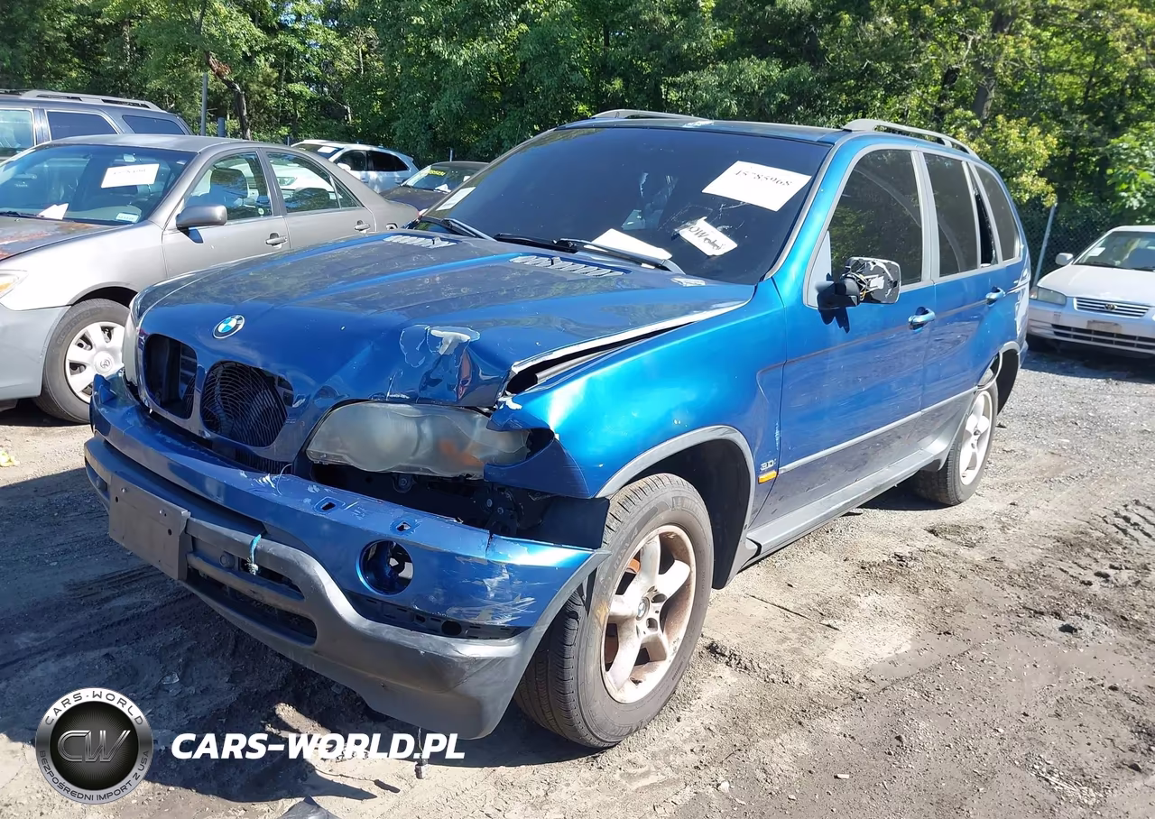 2003 BMW X5 3.0I VIN:5UXFA53523LV84589 - 2