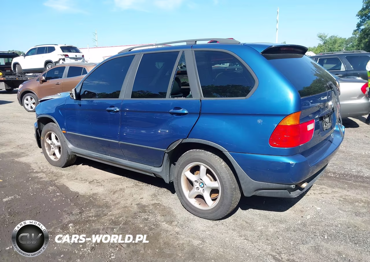 2003 BMW X5 3.0I VIN:5UXFA53523LV84589 - 3