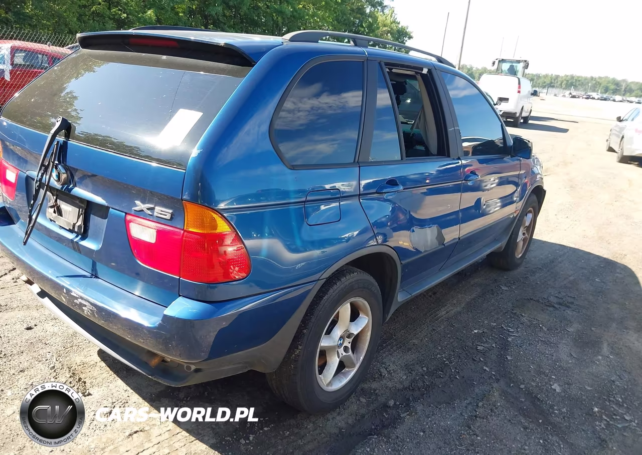 2003 BMW X5 3.0I VIN:5UXFA53523LV84589 - 4