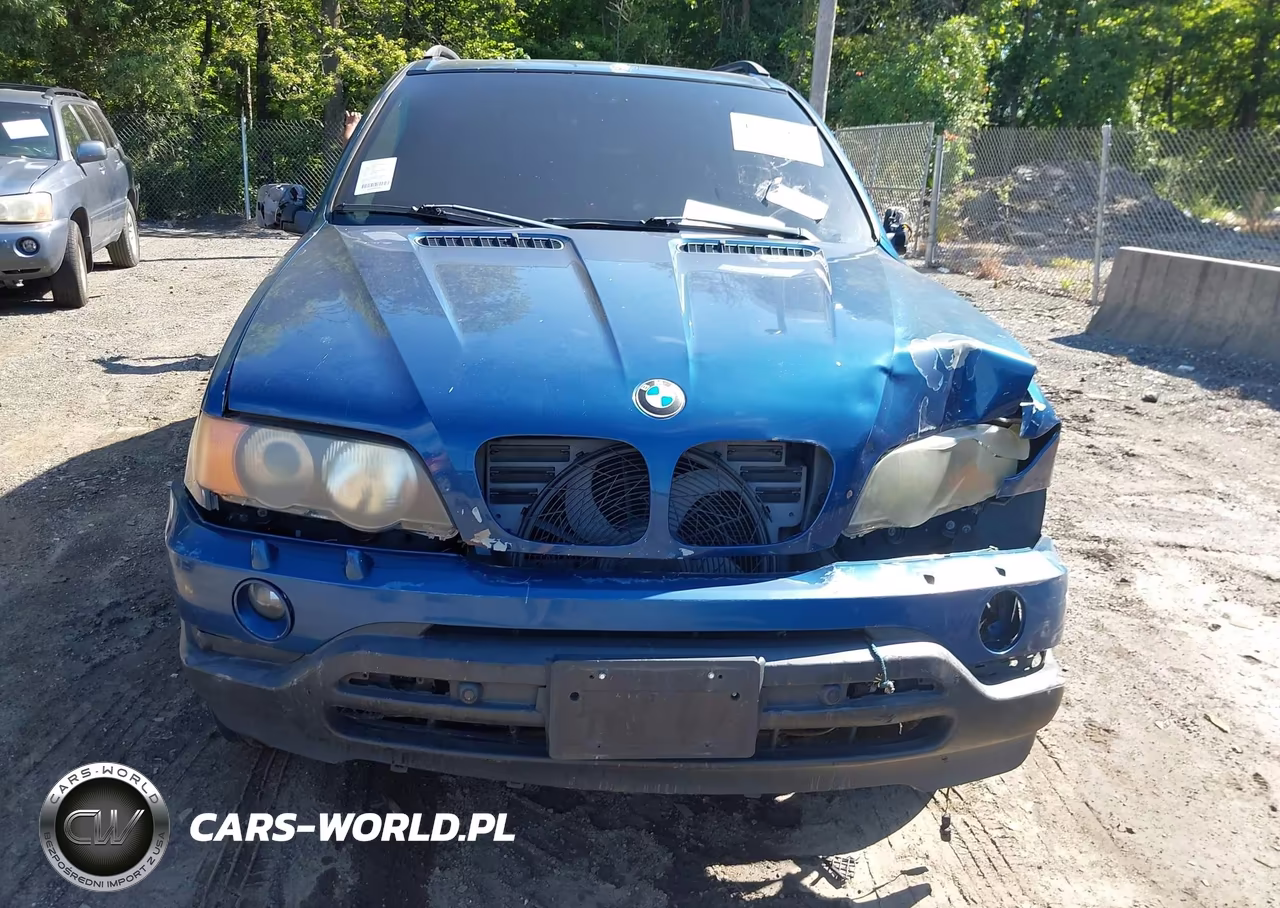 2003 BMW X5 3.0I VIN:5UXFA53523LV84589 - 6