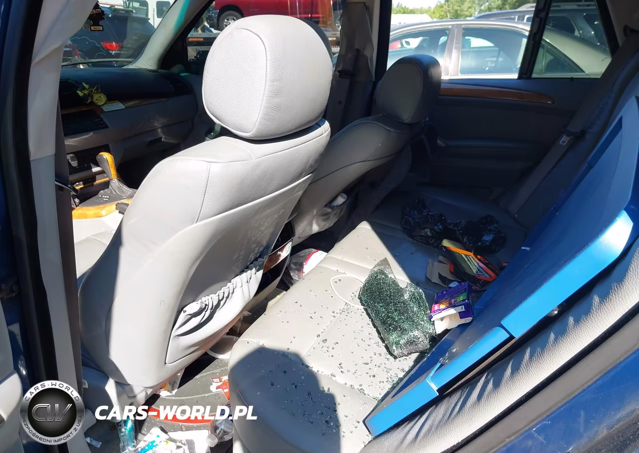 2003 BMW X5 3.0I VIN:5UXFA53523LV84589 - 8