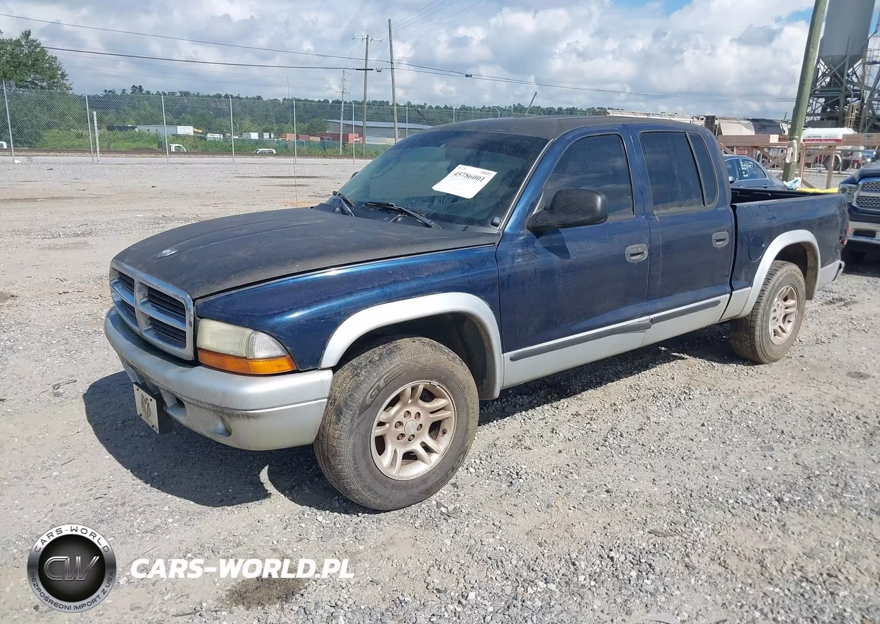 2003 Dodge Dakota Slt VIN:1D7HL48NX3S115723 - 2