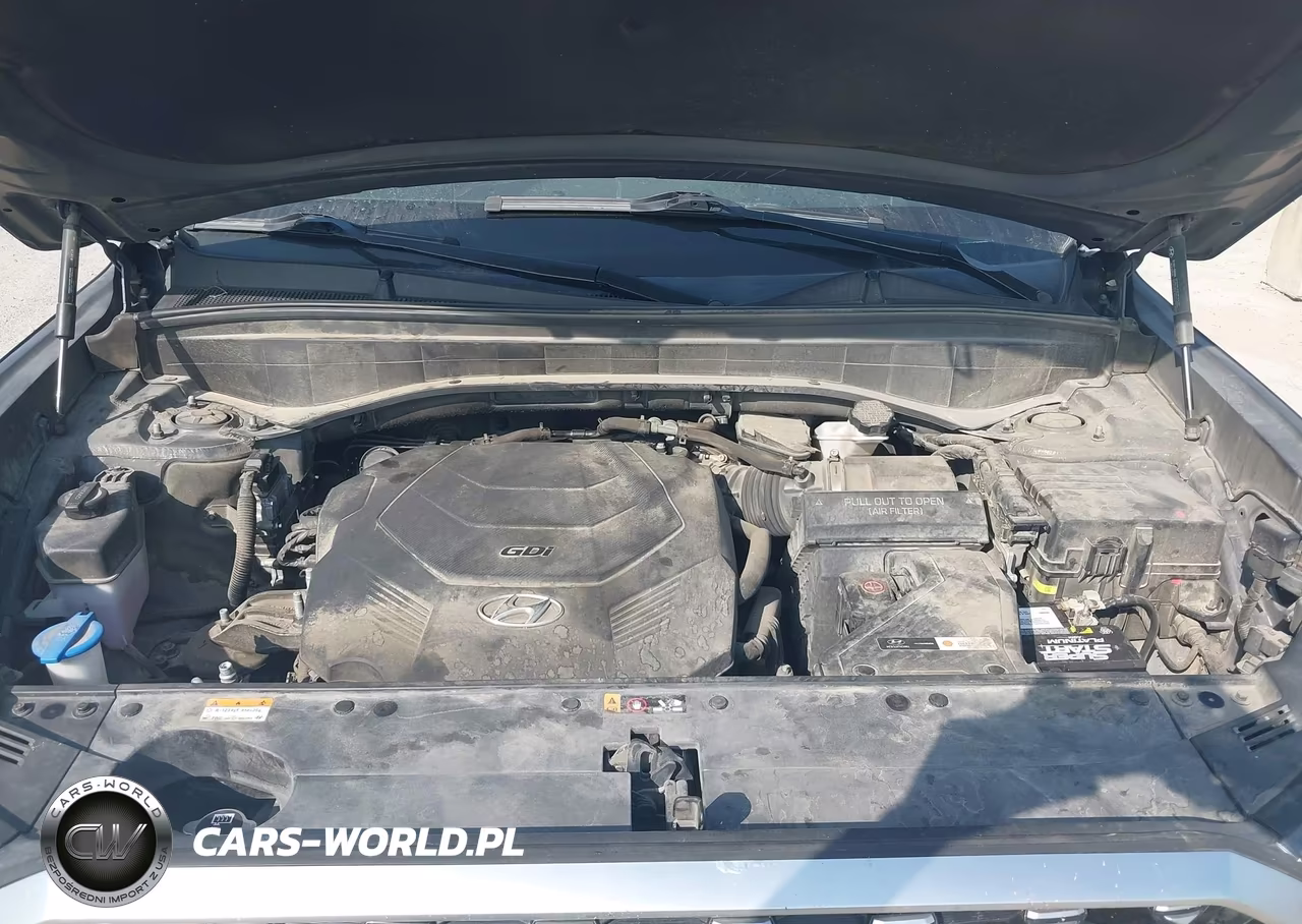 2021 Hyundai Palisade Calligraphy VIN:KM8R74HE6MU280284 - 10
