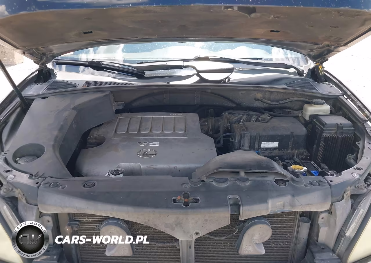 2007 Lexus Rx 350 VIN:2T2GK31U07C013130 - 10