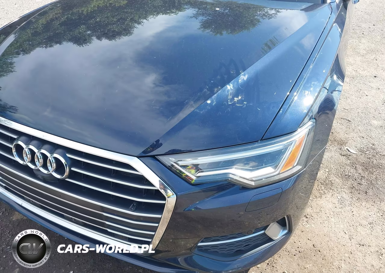 2019 Audi A6 45 Premium VIN:WAUE8AF25KN119453 - 10
