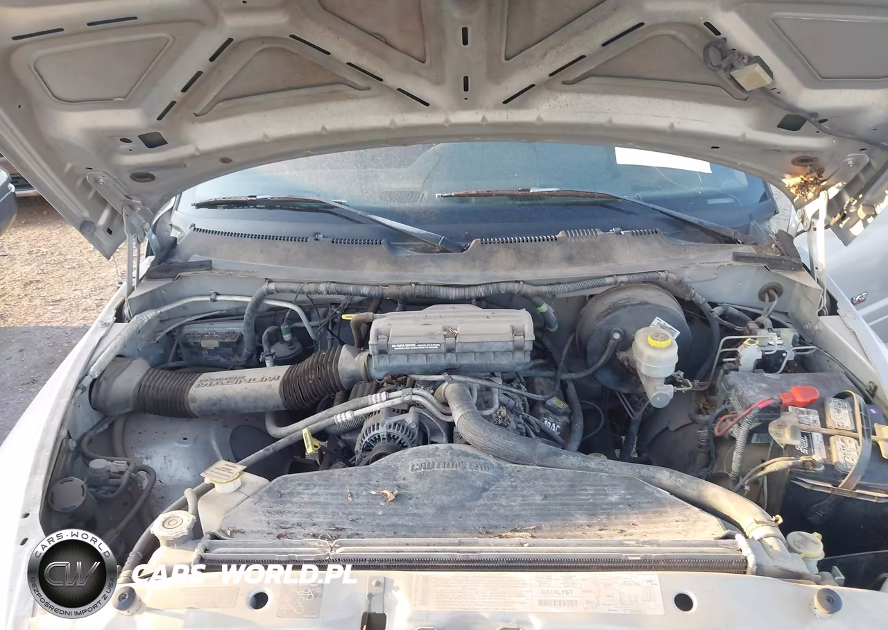 2001 Dodge Ram 1500 St VIN:1B7HC13Y91J253041 - 10