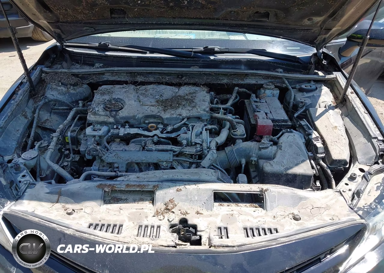 2020 Toyota Camry Le VIN:4T1C11AK4LU366259 - 10