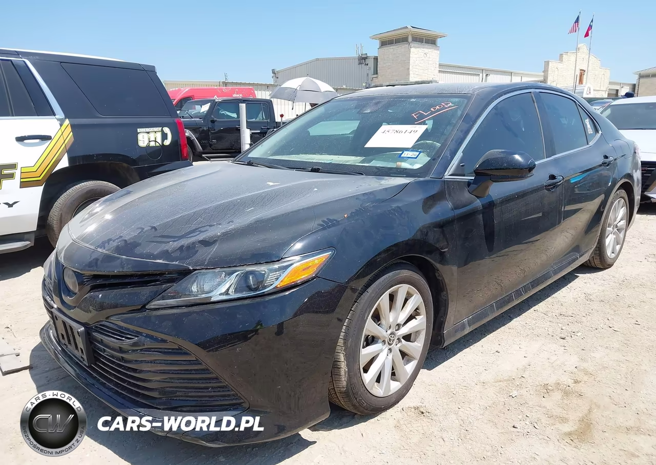 2020 Toyota Camry Le VIN:4T1C11AK4LU366259 - 2