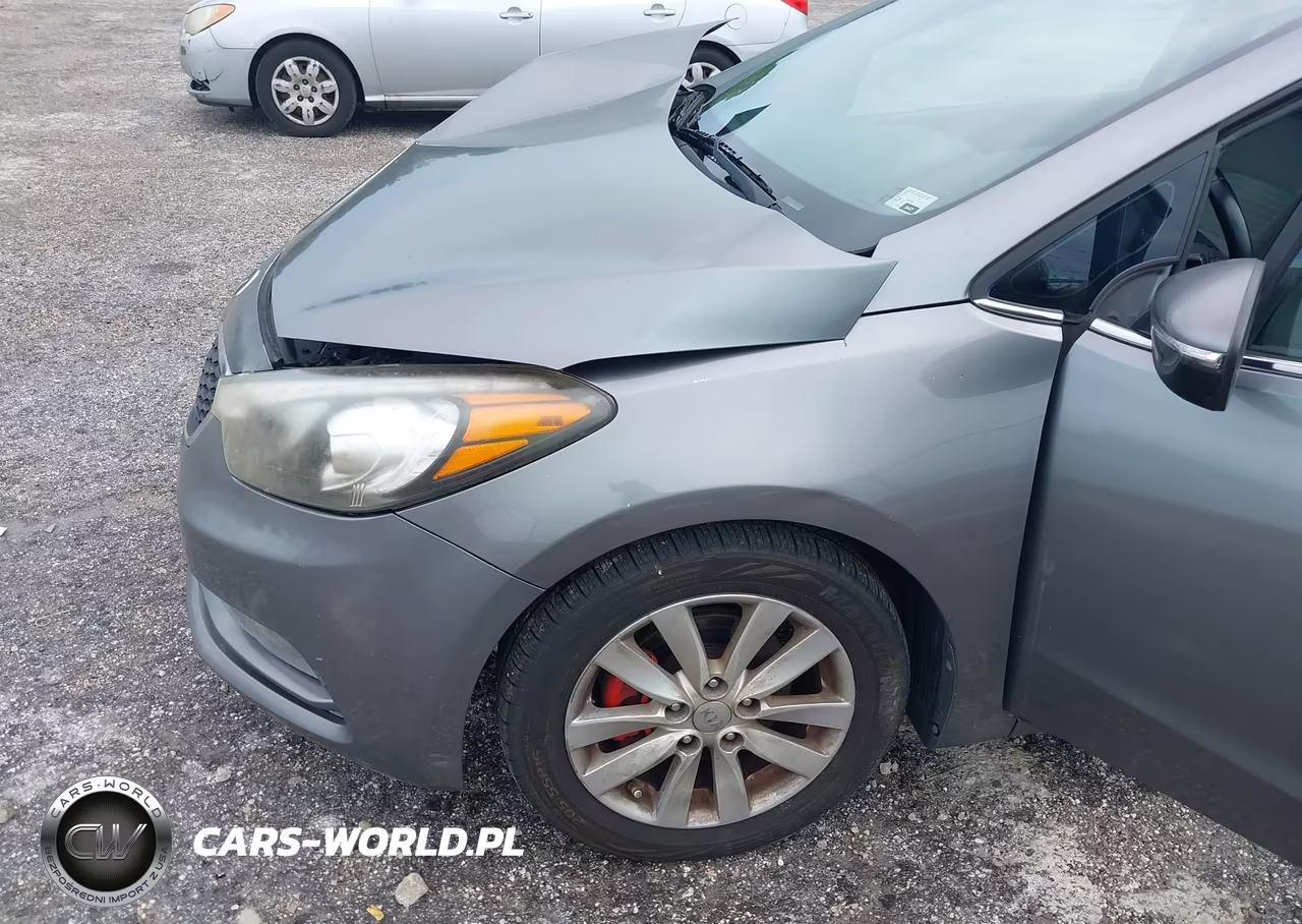 2015 Kia Forte Ex VIN:KNAFX4A86F5266259 - 6