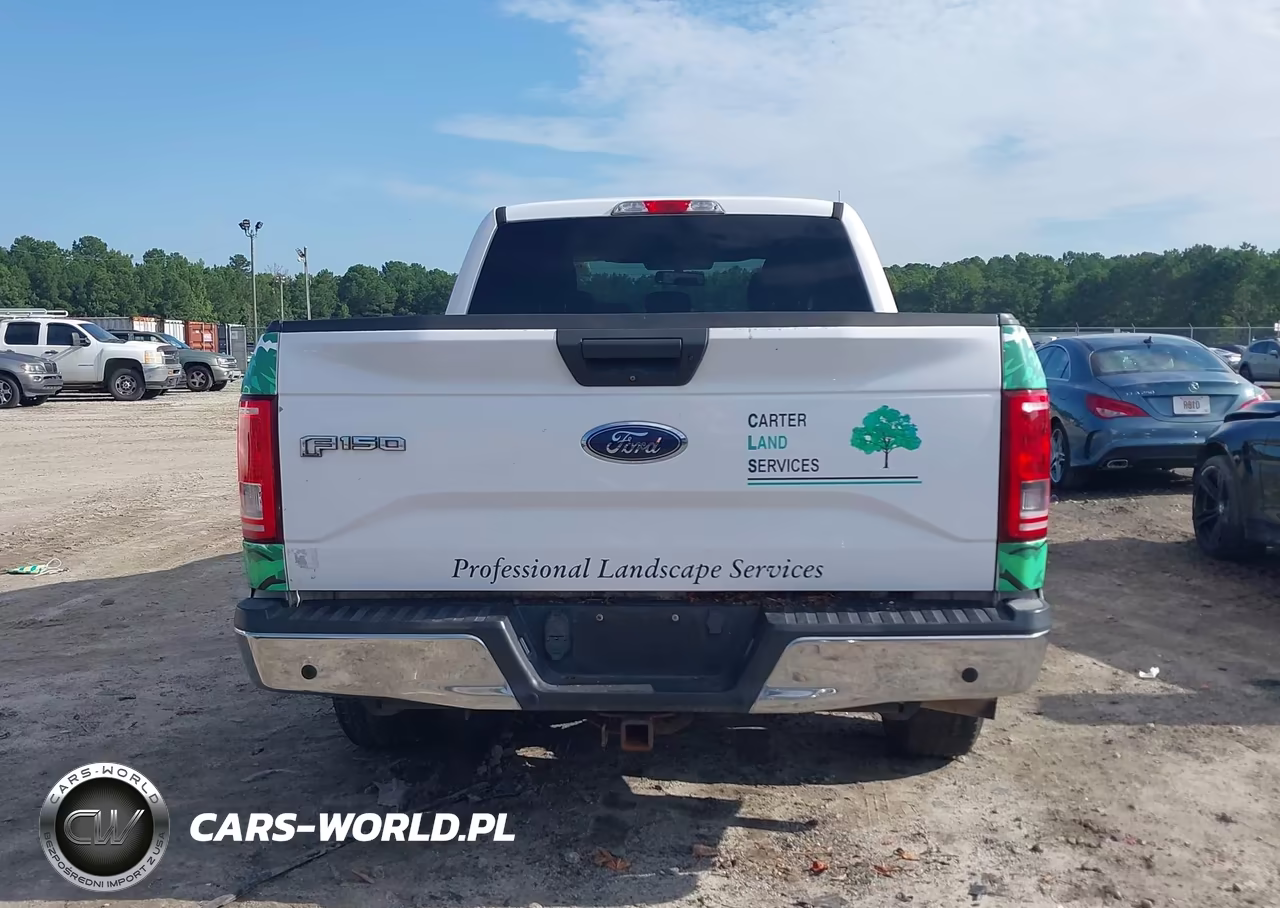 2016 Ford F-150 Xlt VIN:1FTEX1CP7GKE70346 - 17
