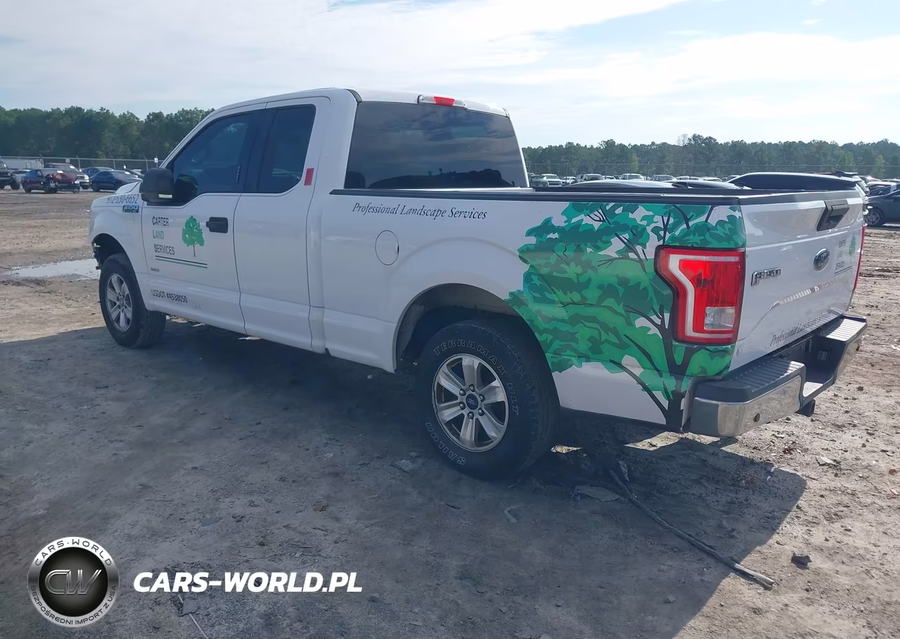 2016 Ford F-150 Xlt VIN:1FTEX1CP7GKE70346 - 3