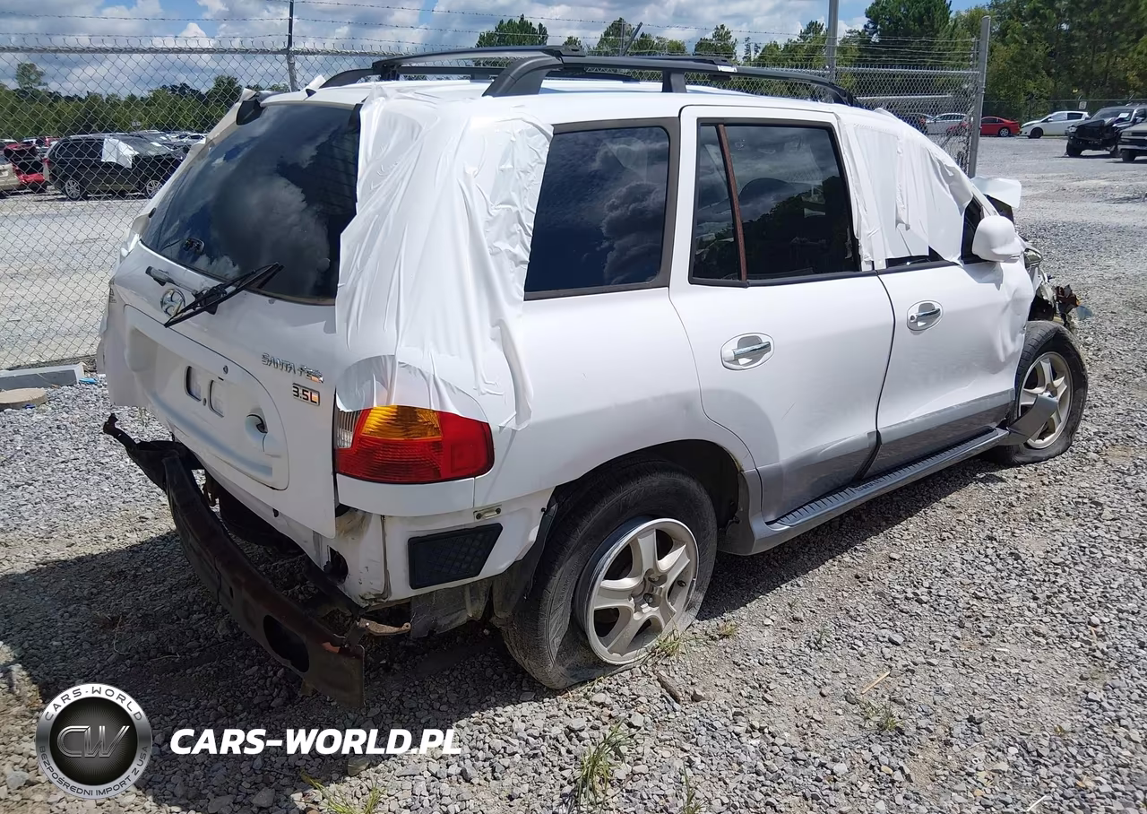 2004 Hyundai Santa Fe Gls-Lx VIN:KM8SC13E74U702095 - 4