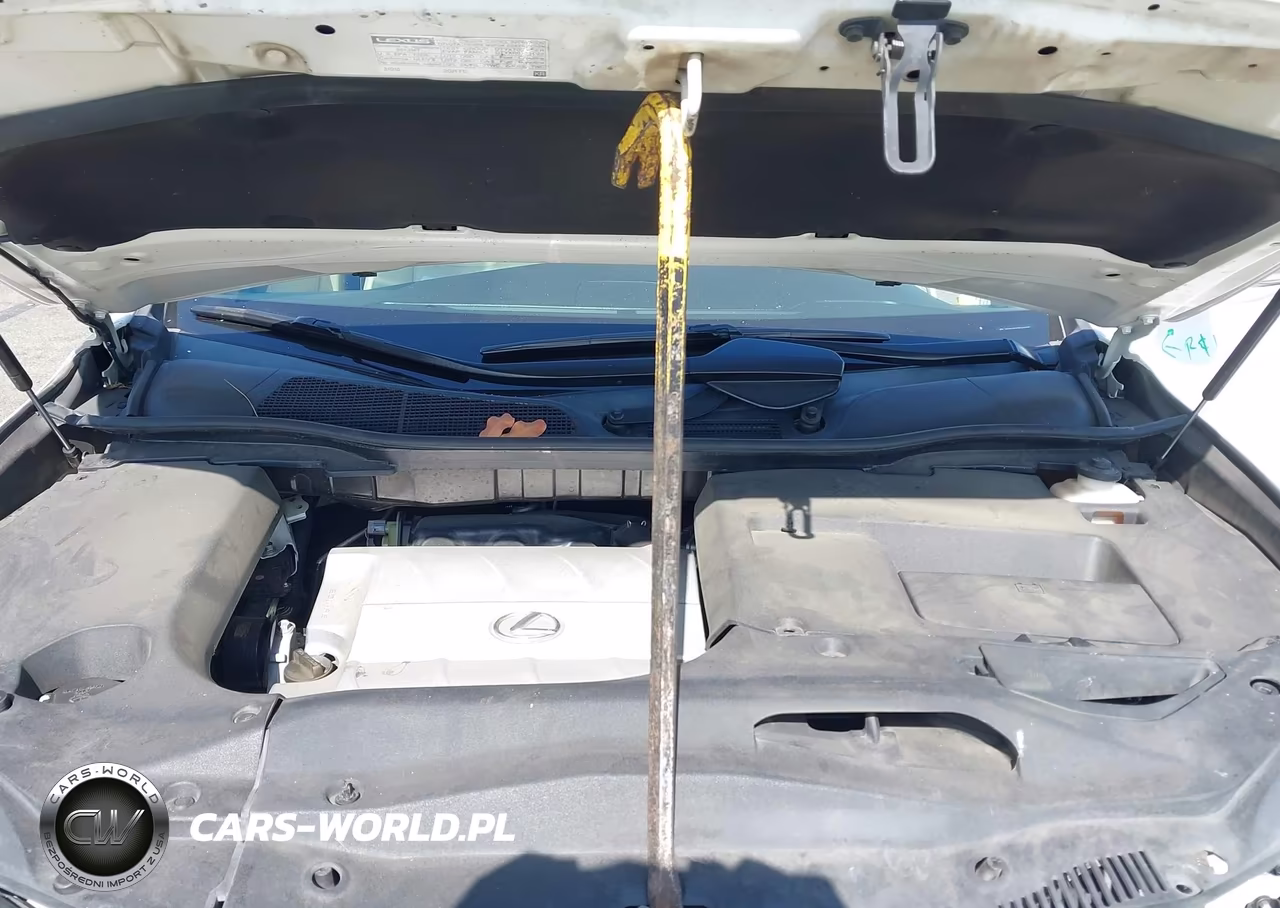 2013 Lexus Rx 350 VIN:2T2ZK1BA5DC110983 - 10