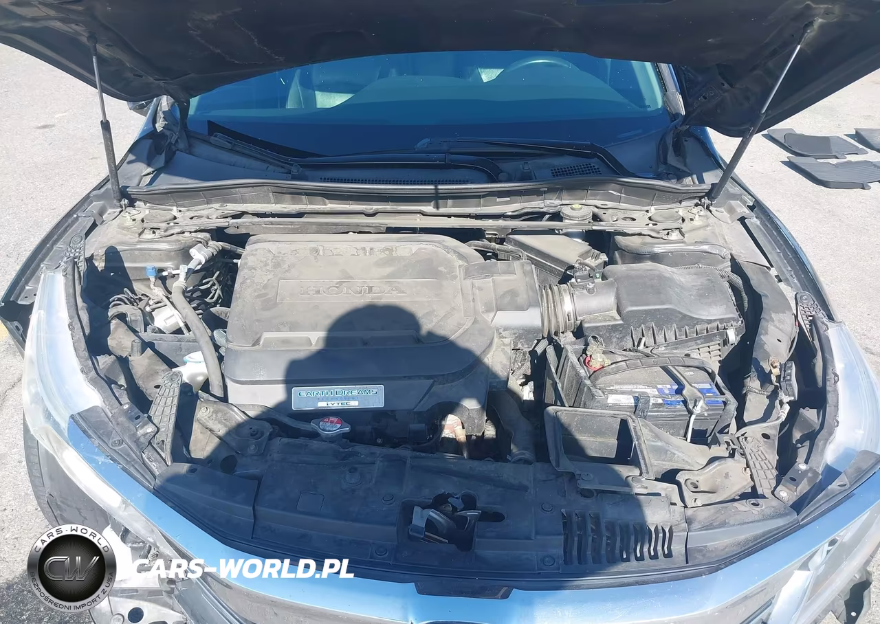 2017 Honda Accord Ex-L V6 VIN:1HGCR3F8XHA007417 - 10