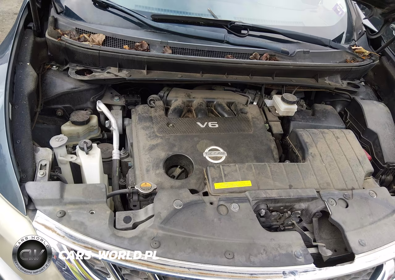 2011 Nissan Murano Le VIN:JN8AZ1MW1BW159967 - 10