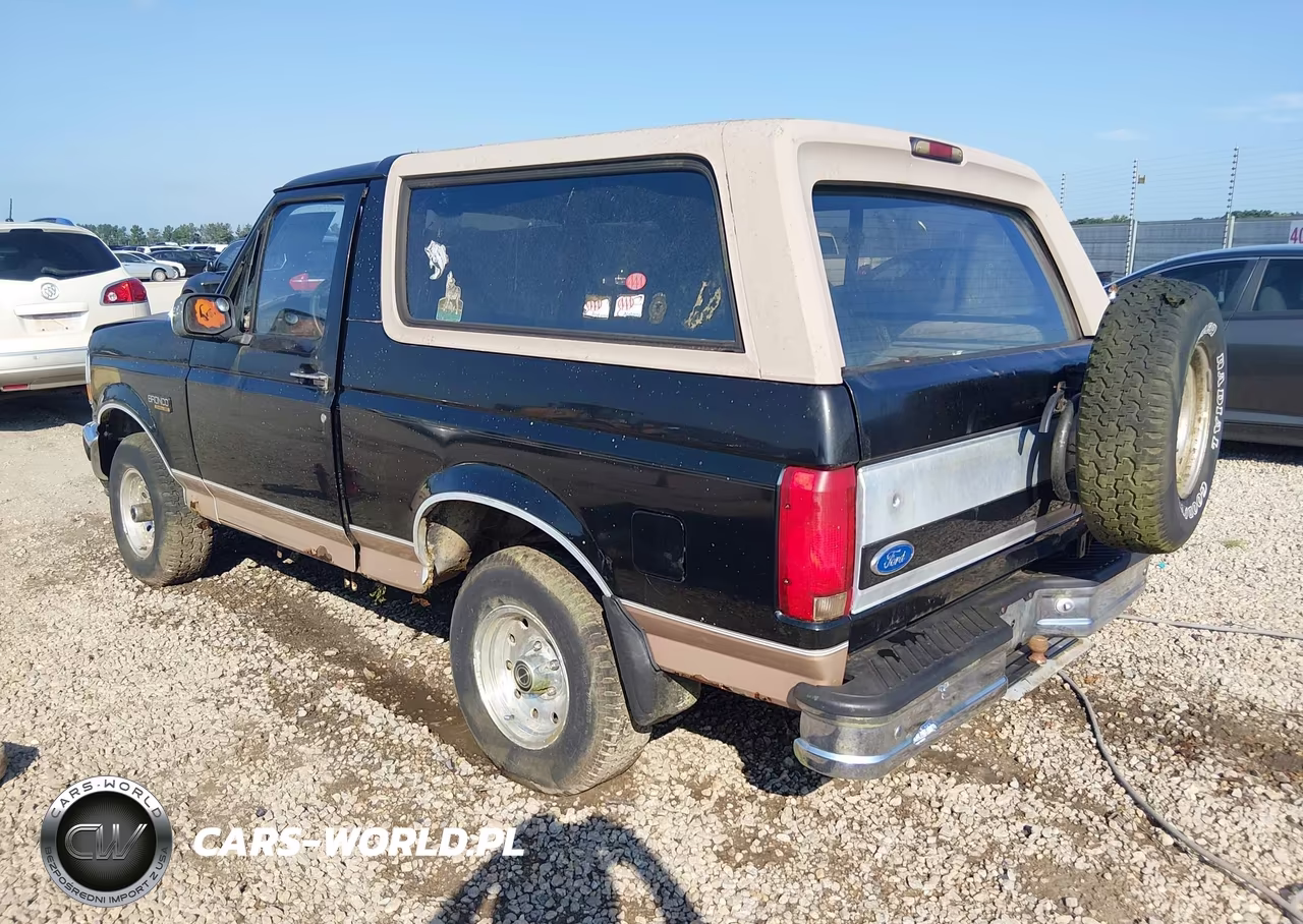 1996 Ford Bronco U100 VIN:1FMEU15H3TLA66703 - 3
