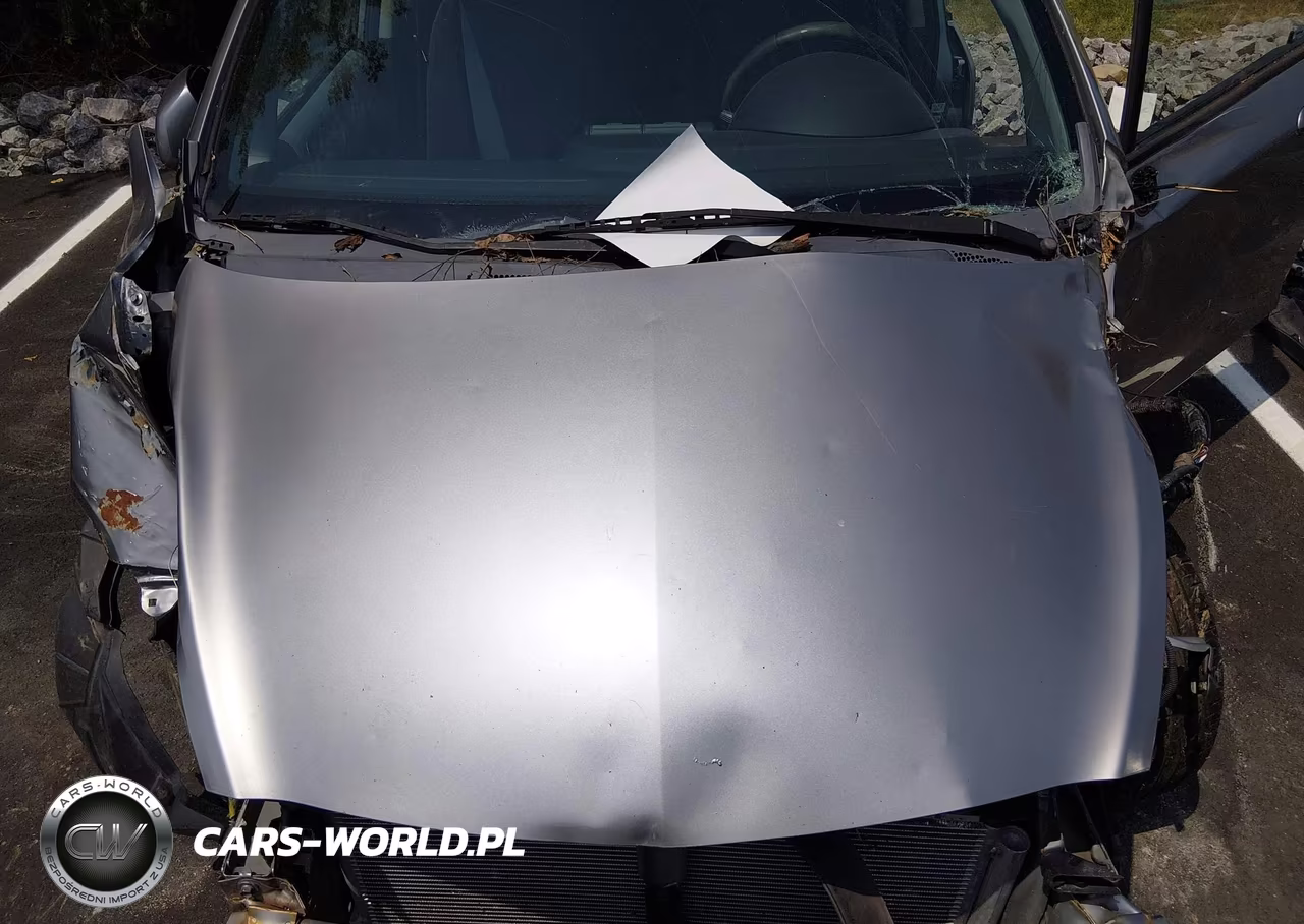 2007 Honda Fit S VIN:JHMGD38647S025333 - 10