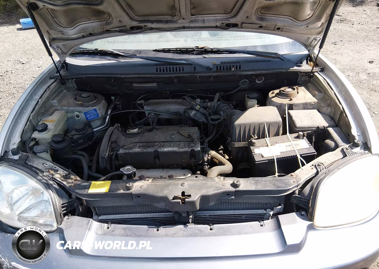 2004 Hyundai Santa Fe VIN:KM8SB12B94U684631 - 10