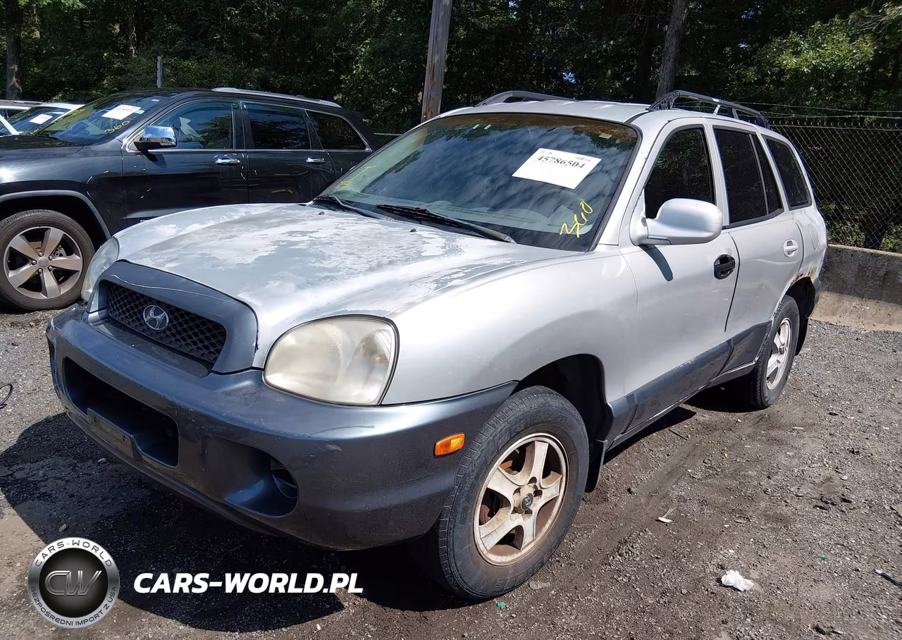 2004 Hyundai Santa Fe VIN:KM8SB12B94U684631 - 2