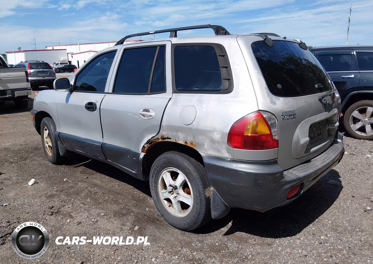 2004 Hyundai Santa Fe VIN:KM8SB12B94U684631 - 3