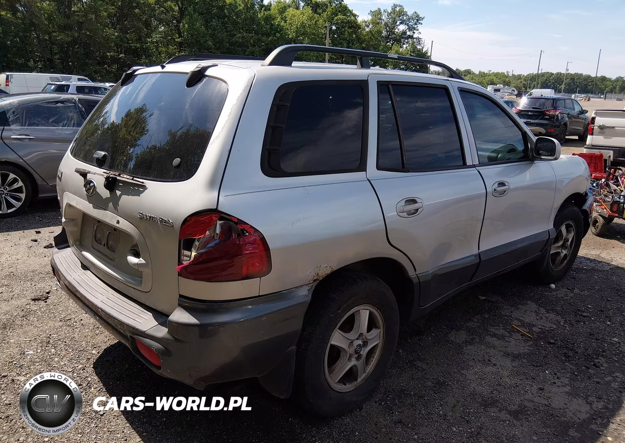 2004 Hyundai Santa Fe VIN:KM8SB12B94U684631 - 4