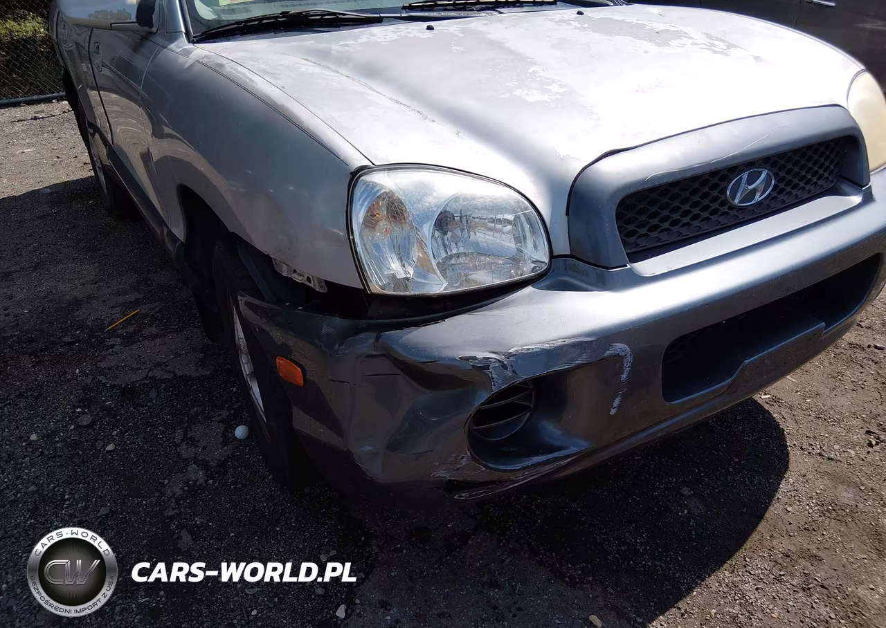 2004 Hyundai Santa Fe VIN:KM8SB12B94U684631 - 6