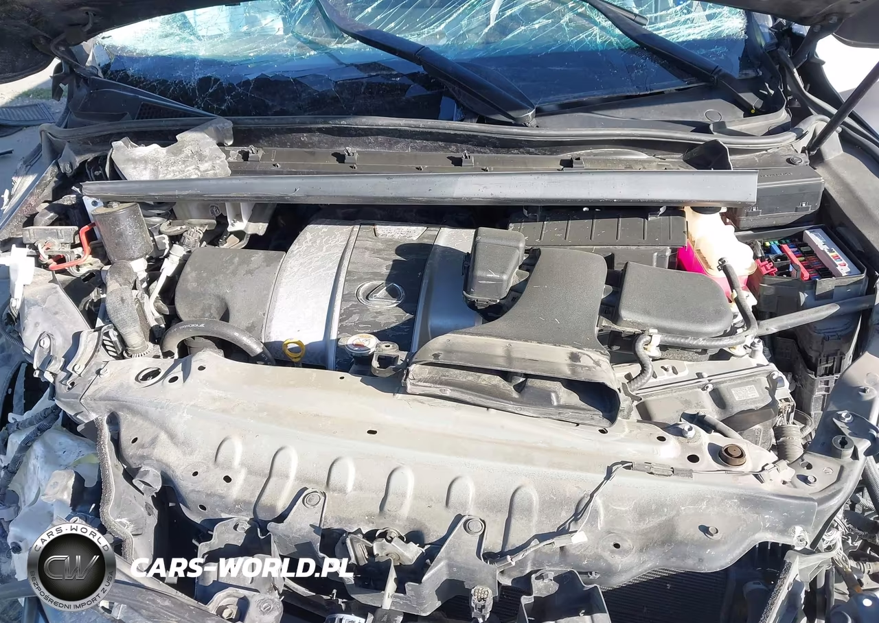 2019 Lexus Rx 450Hl Premium VIN:JTJDGKCA9K2006512 - 10