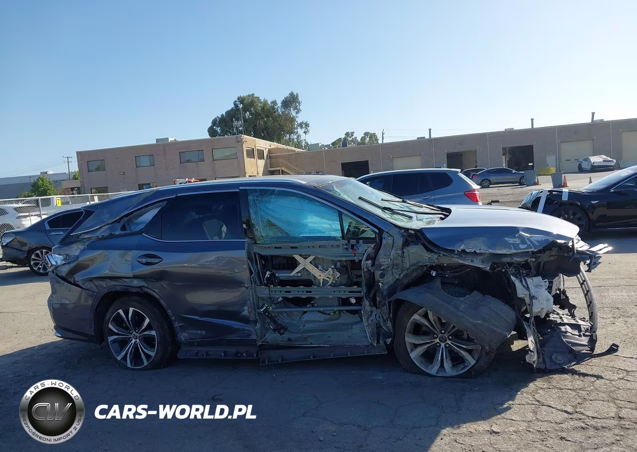 2019 Lexus Rx 450Hl Premium VIN:JTJDGKCA9K2006512 - 12