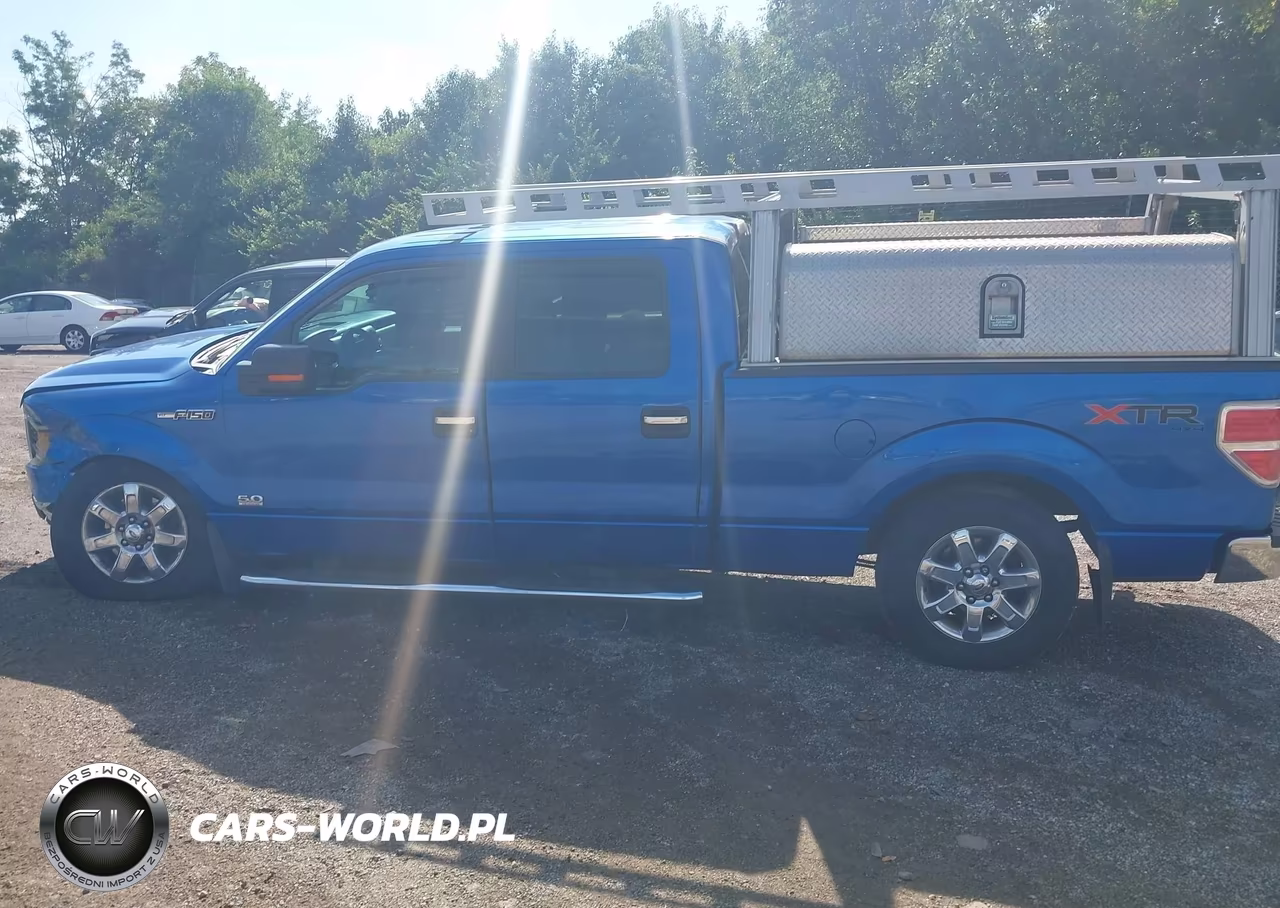 2014 Ford F-150 Xlt VIN:1FTFW1EF3EFA95962 - 15