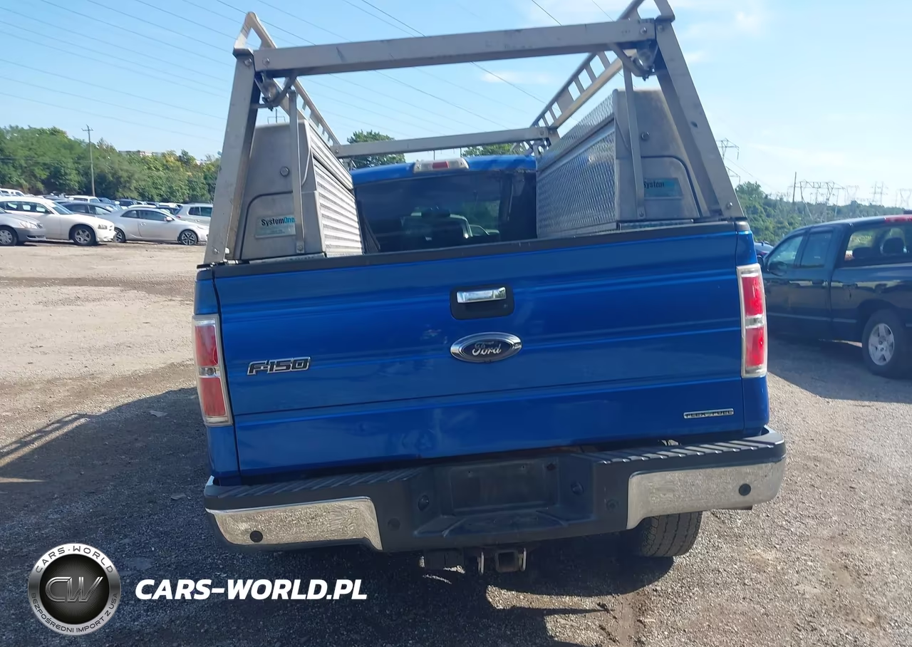2014 Ford F-150 Xlt VIN:1FTFW1EF3EFA95962 - 17