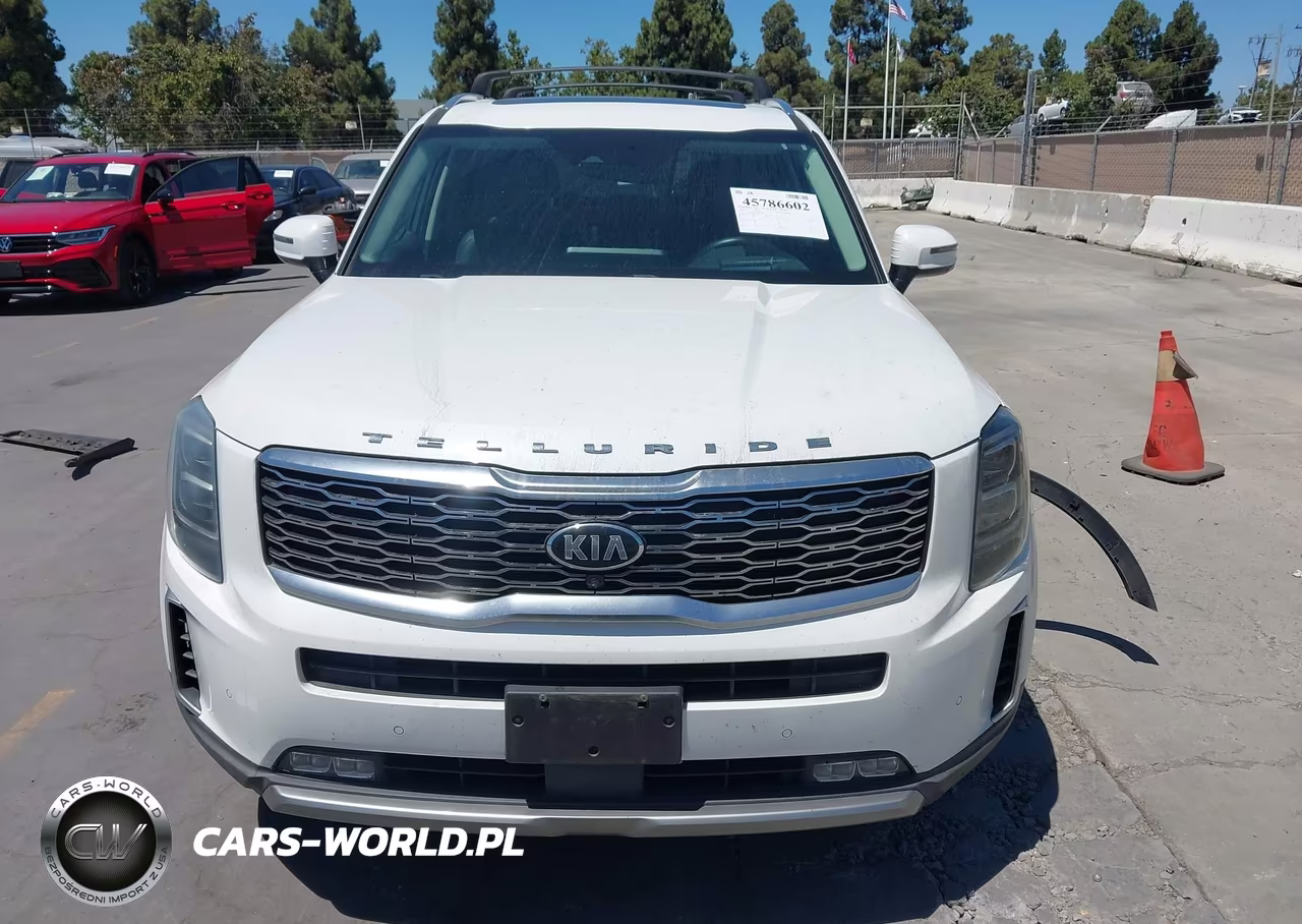 2020 Kia Telluride Sx VIN:5XYP5DHC4LG072002 - 13