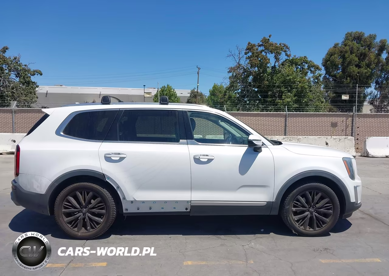 2020 Kia Telluride Sx VIN:5XYP5DHC4LG072002 - 14