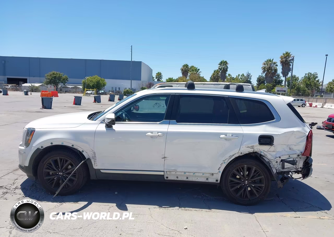 2020 Kia Telluride Sx VIN:5XYP5DHC4LG072002 - 15