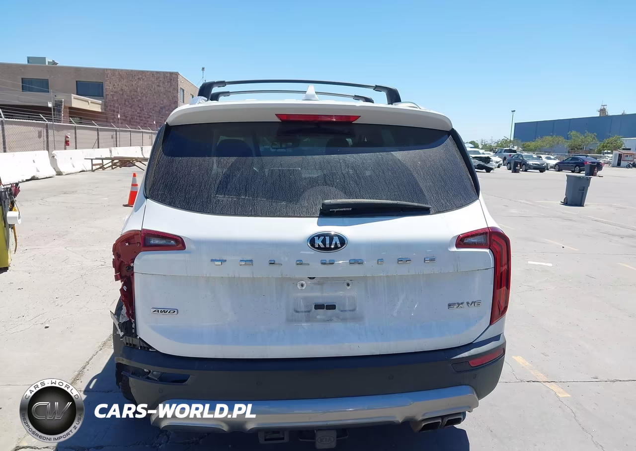 2020 Kia Telluride Sx VIN:5XYP5DHC4LG072002 - 17