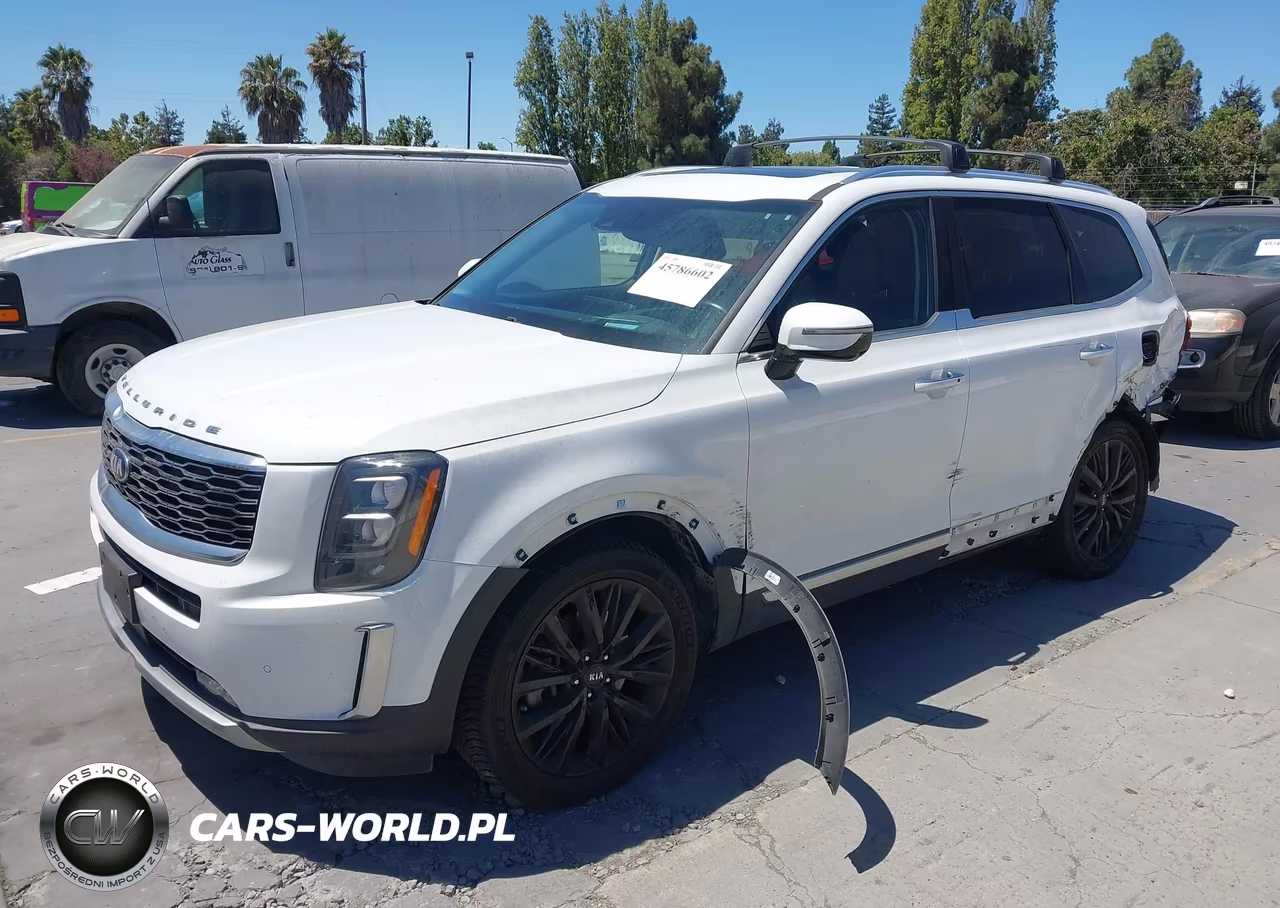 2020 Kia Telluride Sx VIN:5XYP5DHC4LG072002 - 2