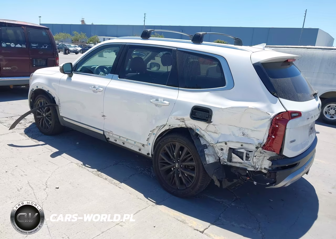 2020 Kia Telluride Sx VIN:5XYP5DHC4LG072002 - 3