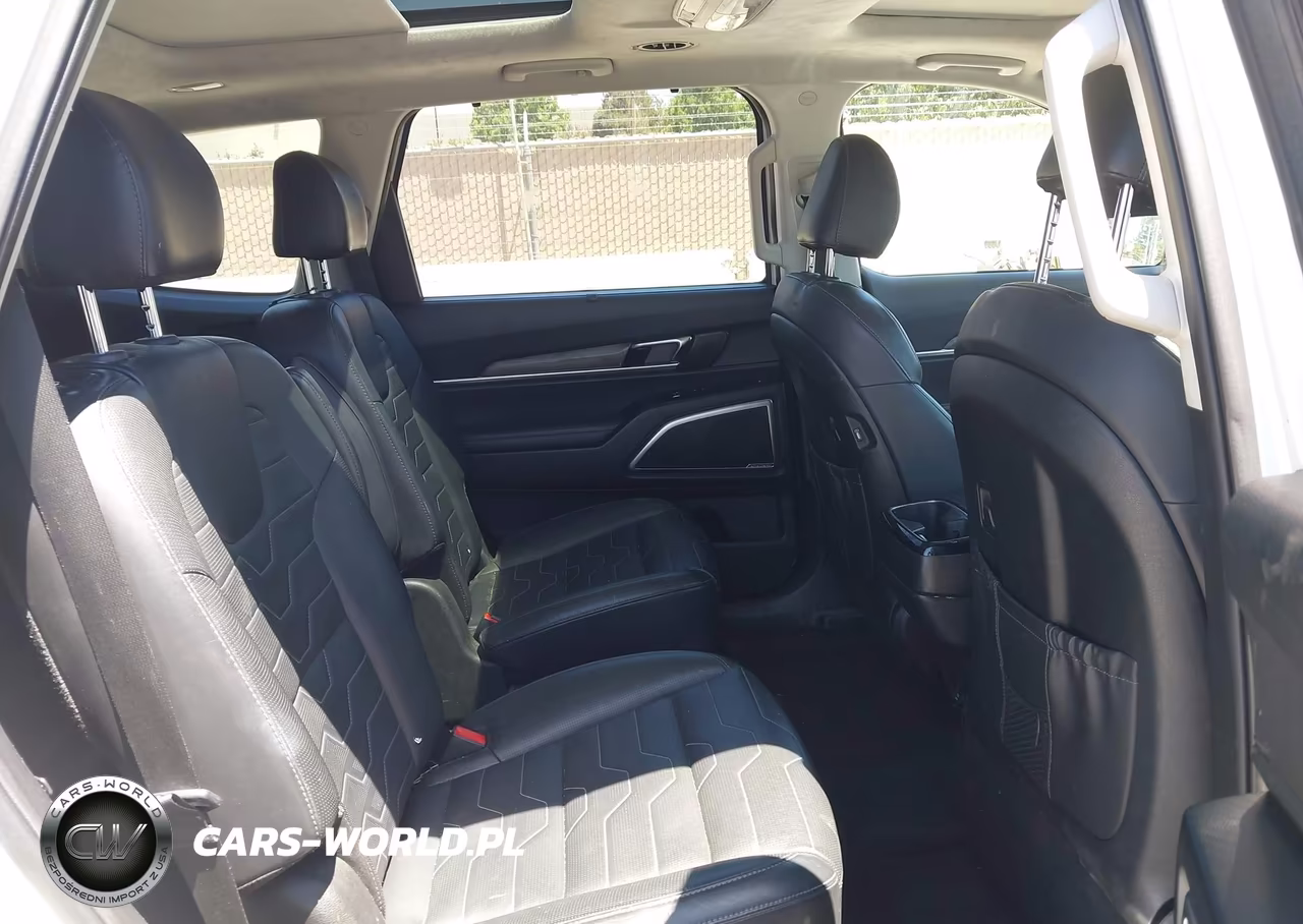 2020 Kia Telluride Sx VIN:5XYP5DHC4LG072002 - 8