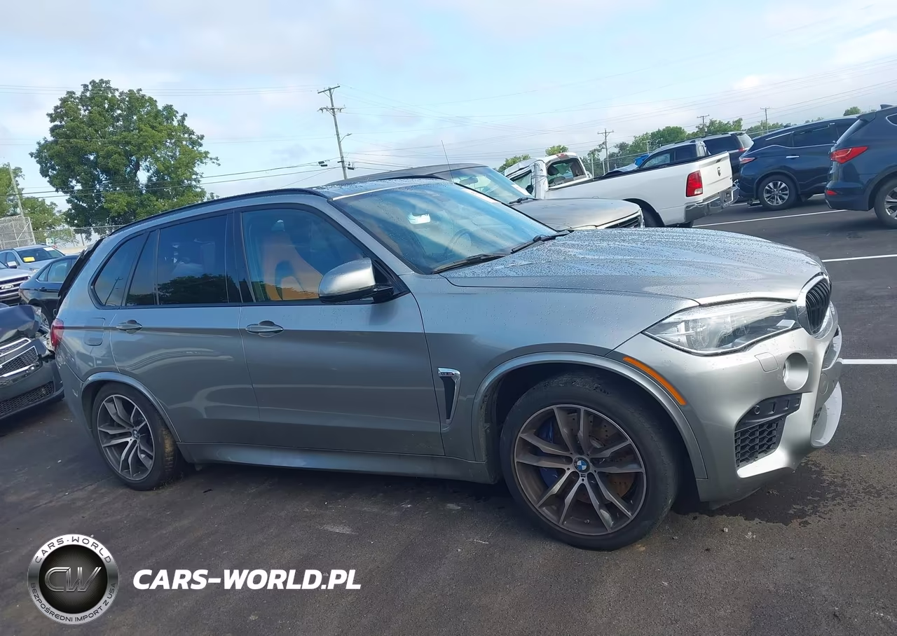 2017 BMW X5 M VIN:5YMKT6C30H0X20622 - 13
