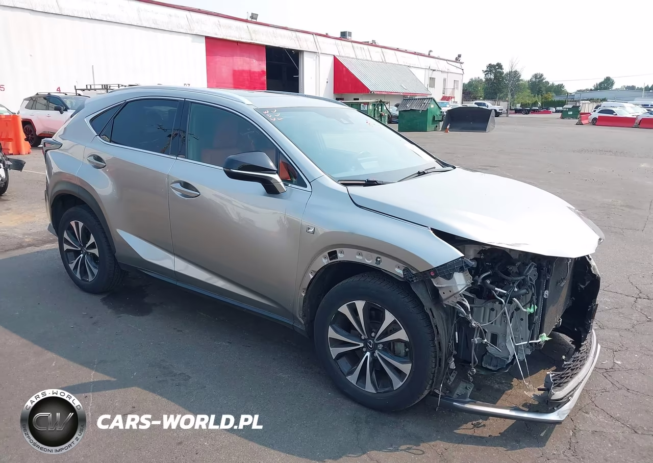 2021 Lexus Nx 300 F Sport