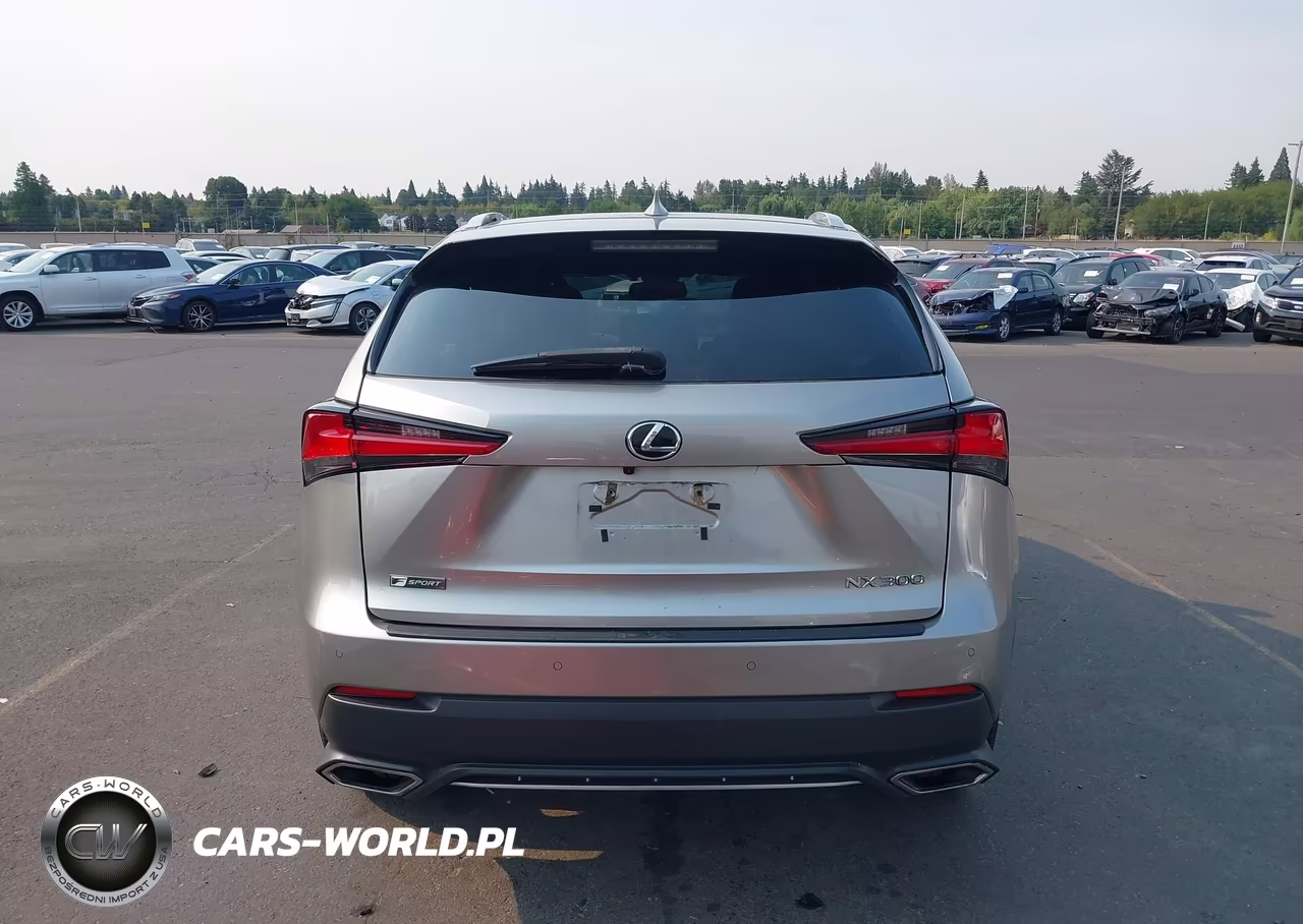 2021 Lexus Nx 300 F Sport VIN:JTJSARDZ5M2240672 - 17