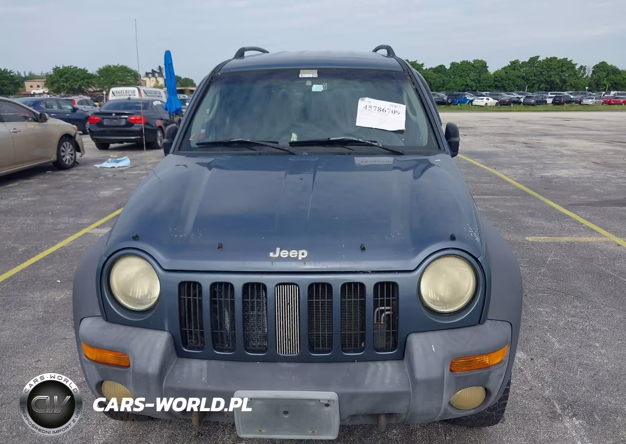 2002 Jeep Liberty Sport VIN:1J4GL48K92W282894 - 6
