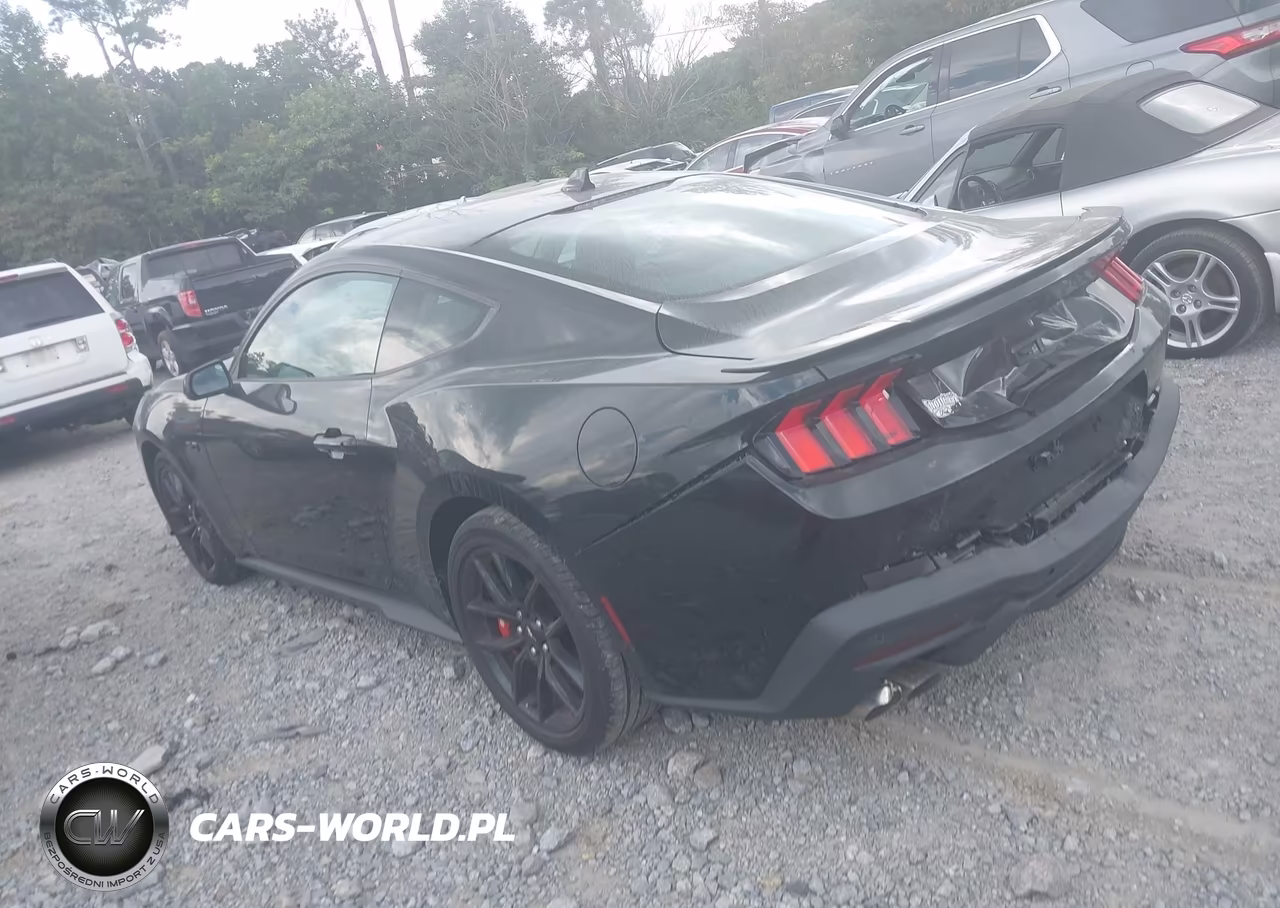 2025 Ford Mustang Gt Premium Fastback VIN:1FA6P8CF9S5406018 - 14