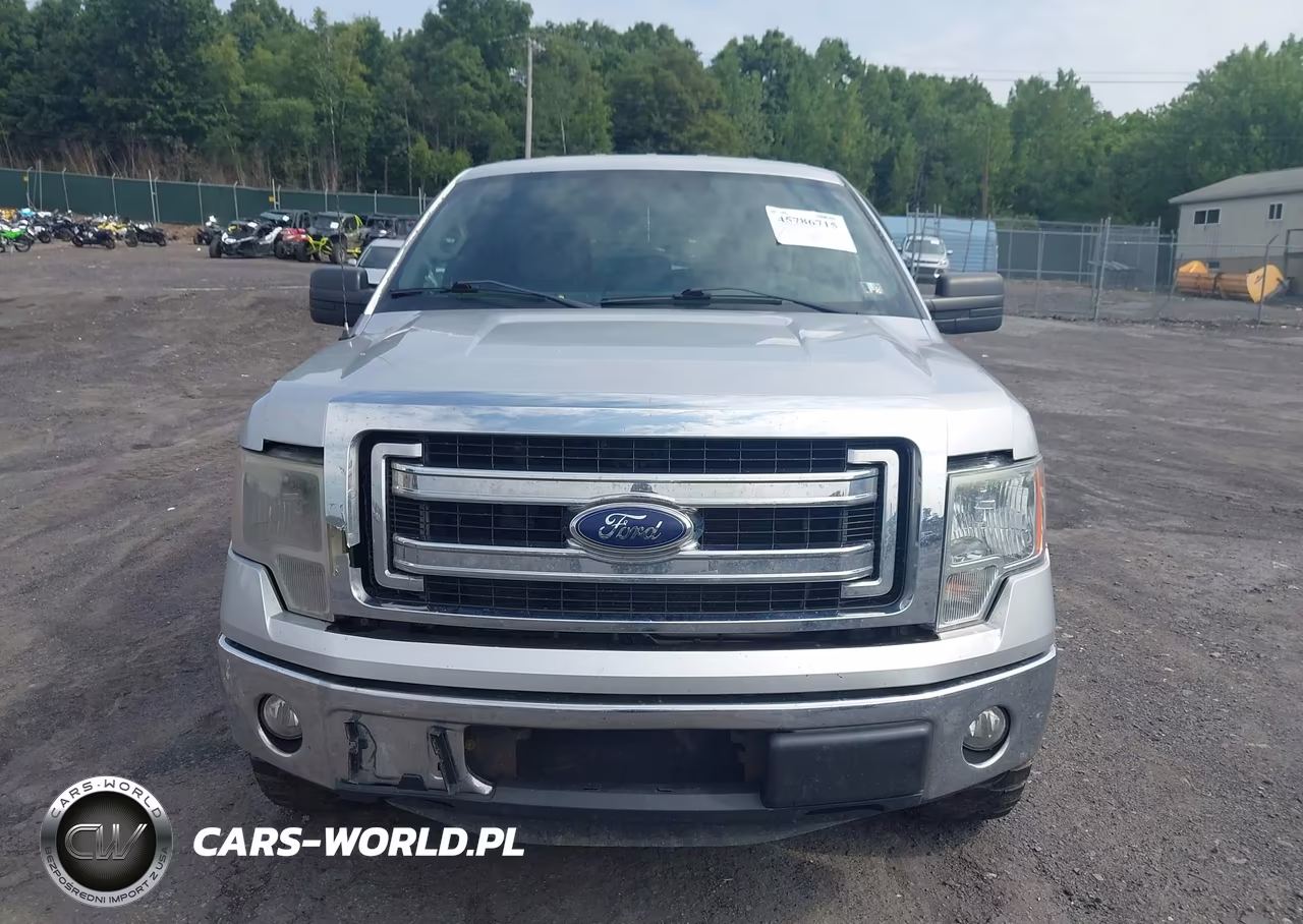 2014 Ford F-150 Xlt VIN:1FTFW1EF4EFC16613 - 12