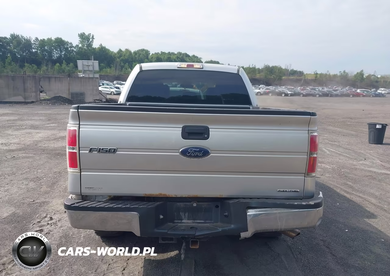 2014 Ford F-150 Xlt VIN:1FTFW1EF4EFC16613 - 16