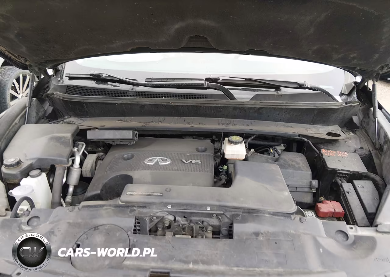 2016 Infiniti Qx60 VIN:5N1AL0MM7GC520984 - 10