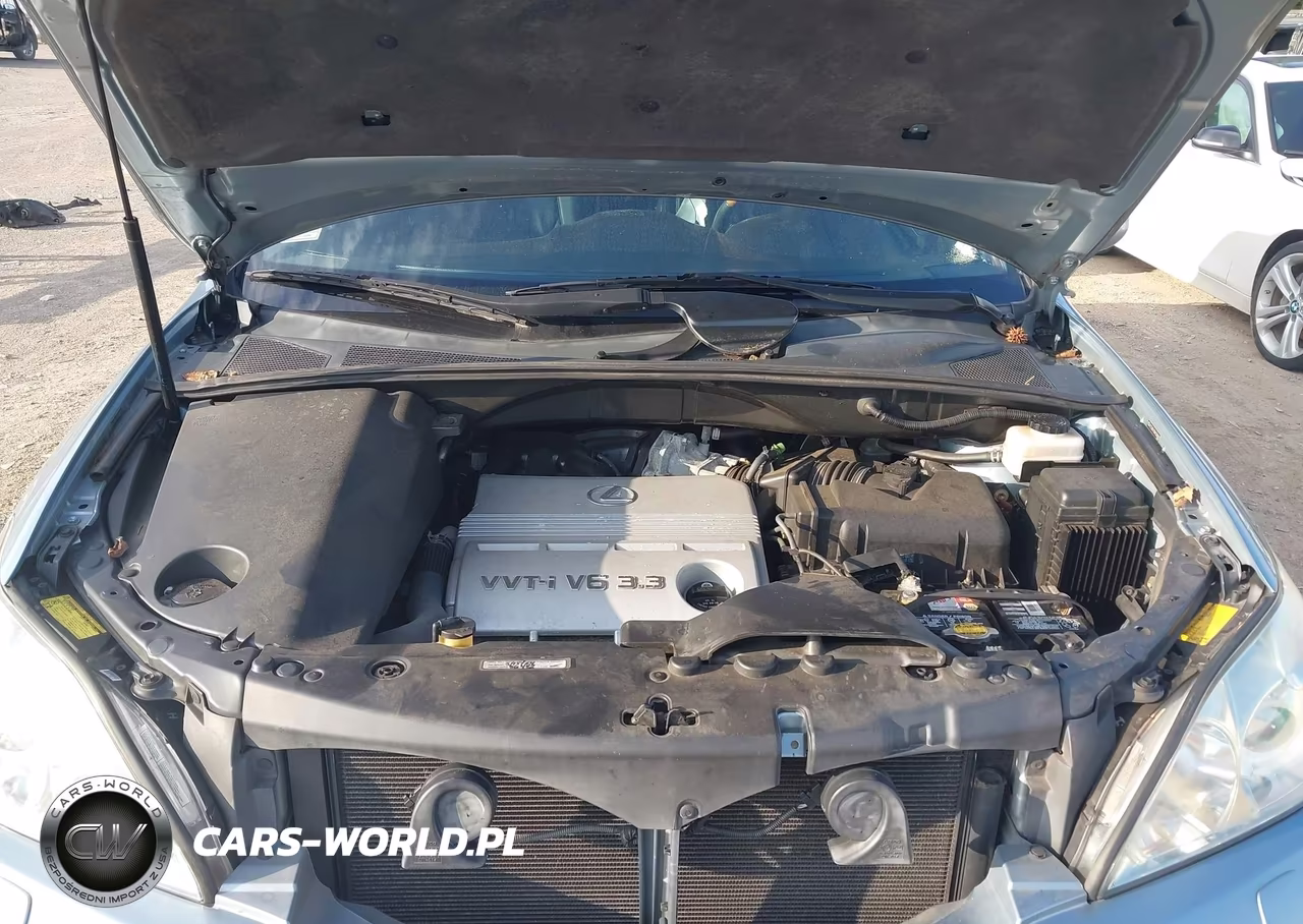 2004 Lexus Rx 330 VIN:2T2HA31U84C008082 - 10