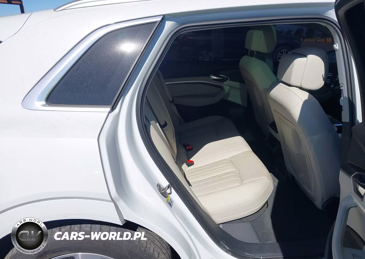 2024 Audi Q8 E-Tron Premium Plus Quattro VIN:WA15AAGE9RB008605 - 8