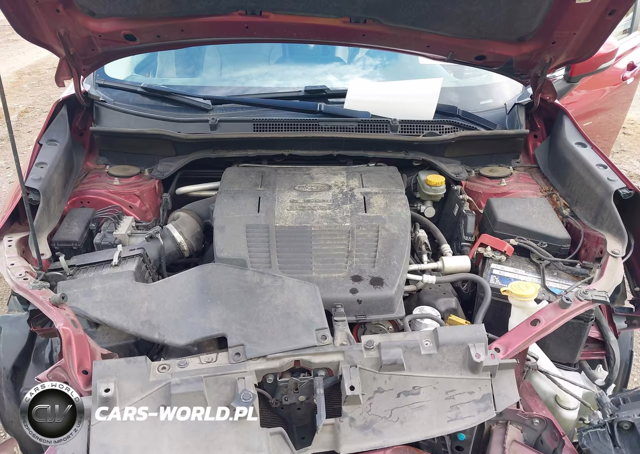 2019 Subaru Forester Limited VIN:JF2SKASC4KH516299 - 10