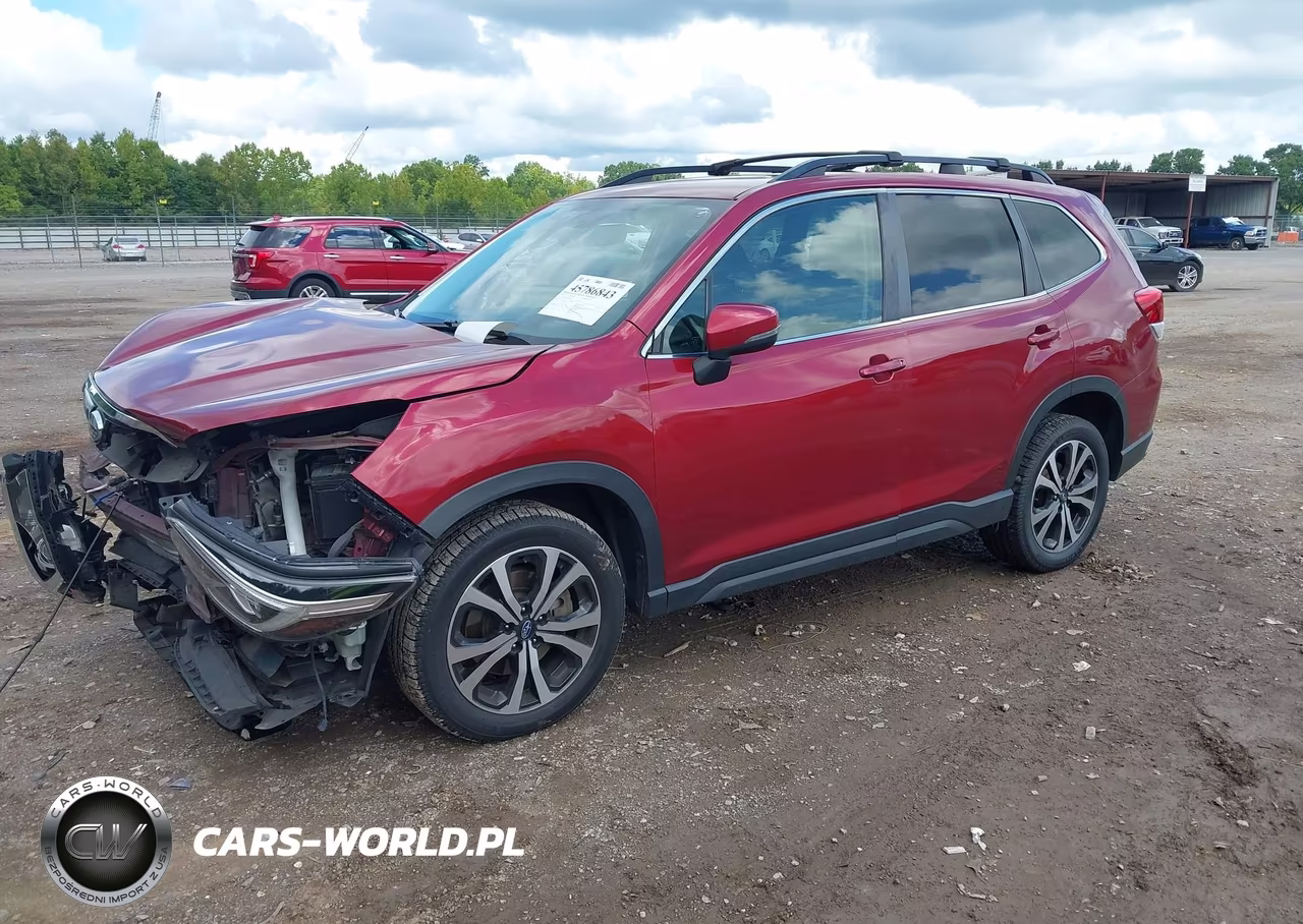 2019 Subaru Forester Limited VIN:JF2SKASC4KH516299 - 2